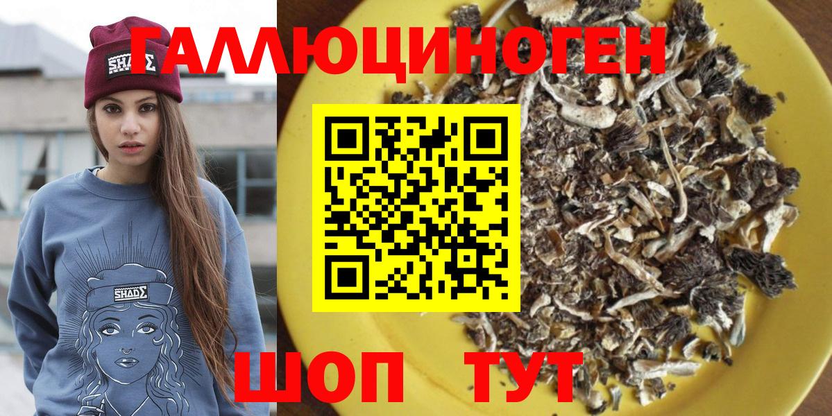 Галлюциногенные грибы Psilocybe  Псилоцибиновые грибы GOLDEN TEACHER  Новый Уренгой  Вход с VPN 